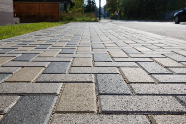Best Driveway Paving Contractor  in Bridgeport, MI